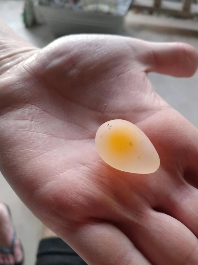 Nepravidelné mäkké vajce bez škrupiny držiace v ľudskej dlani, zrejme od plazu alebo vtáka.
