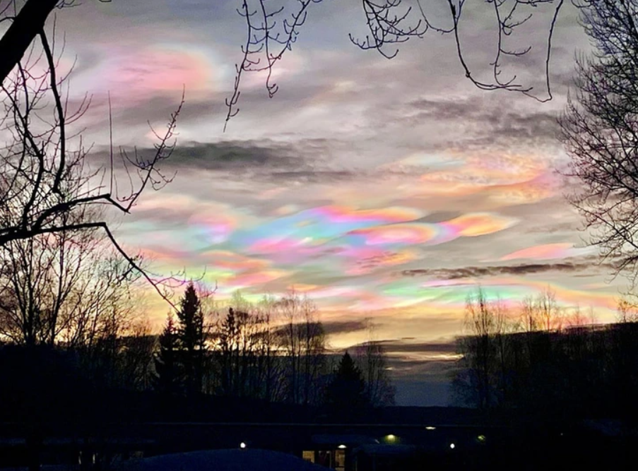 Farebné mraky v západe slnka s obrysmi stromov na okraji scenérie.