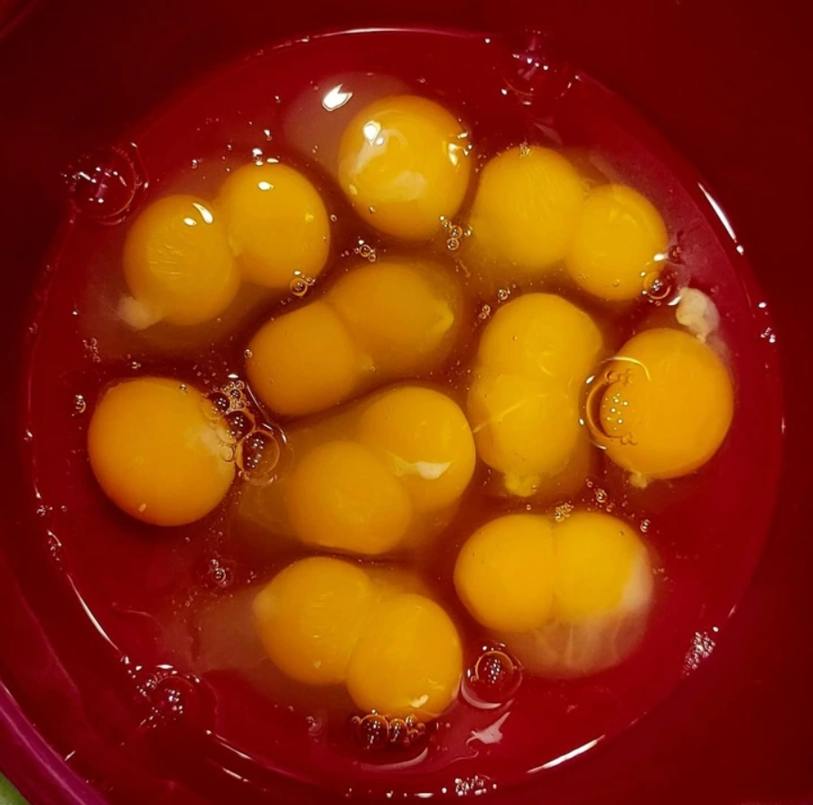 Vajcia s niekoľkými žĺtkami v červenej miske, pripravené na varenie alebo pečenie.