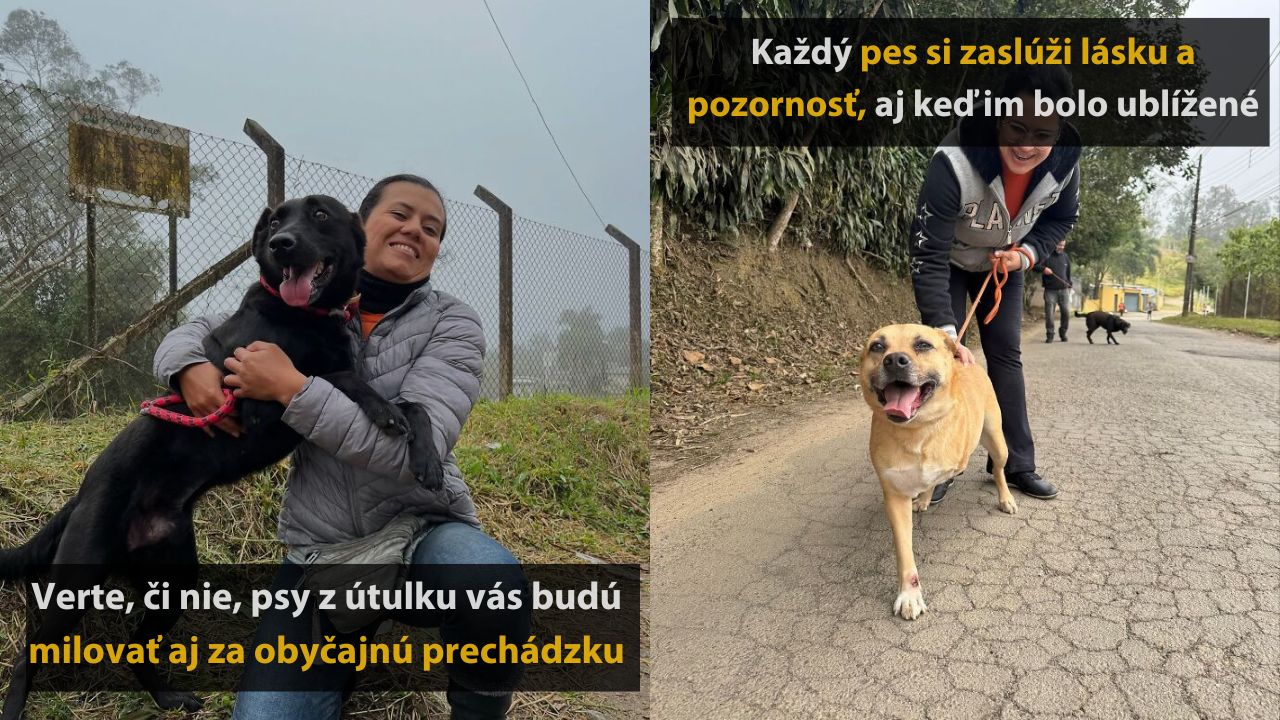 Žena objíma psa z útulku, ktorý sa usmieva na prechádzke; vedľa citát o láske k psom.
