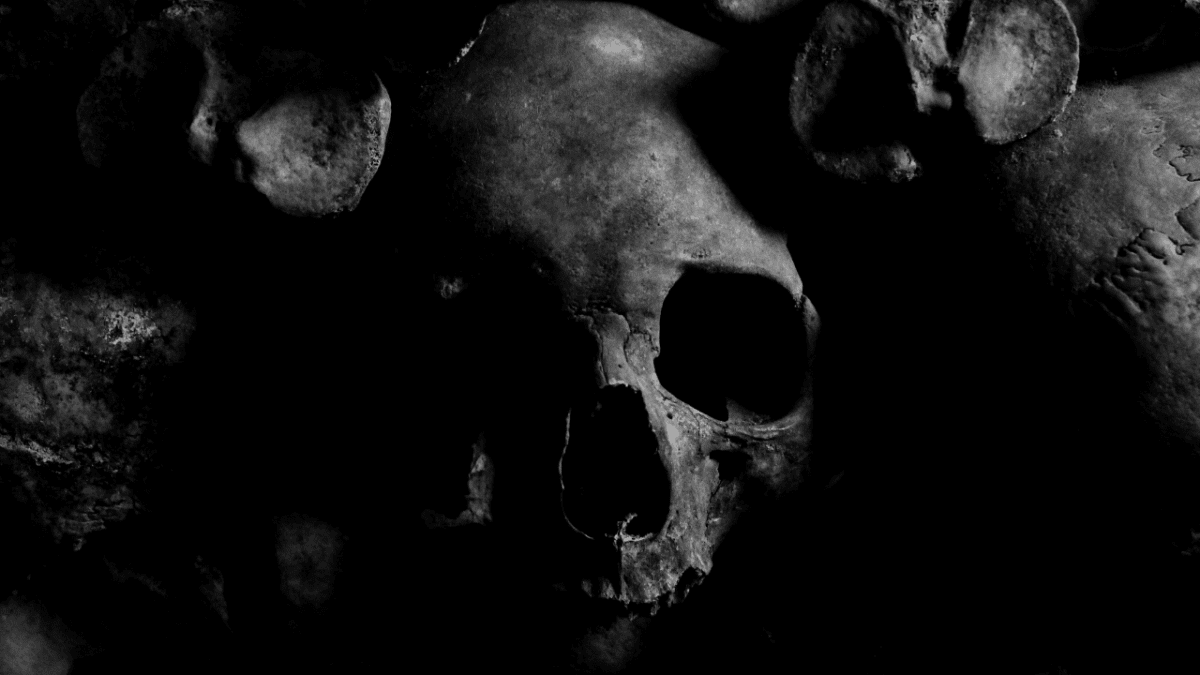 Lebka v tmavej miestnosti, zobrazená v čiernobielom kontraste.