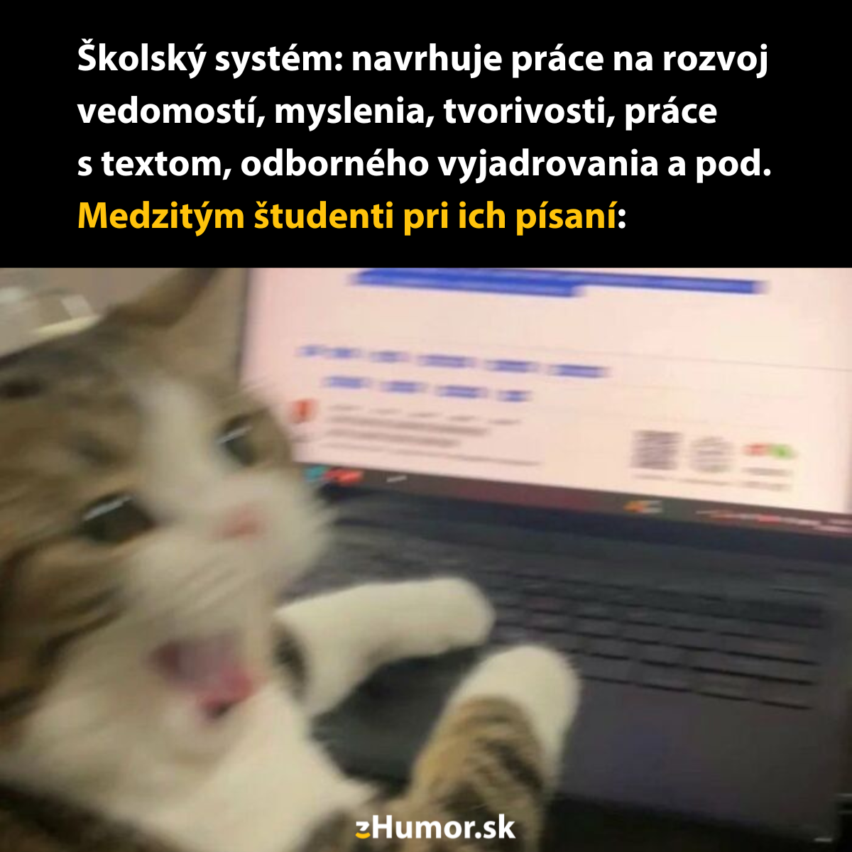 Roztomilá mačka na klávesnici notebooku, vyjadrujúca chaos pri písaní školských prác.
