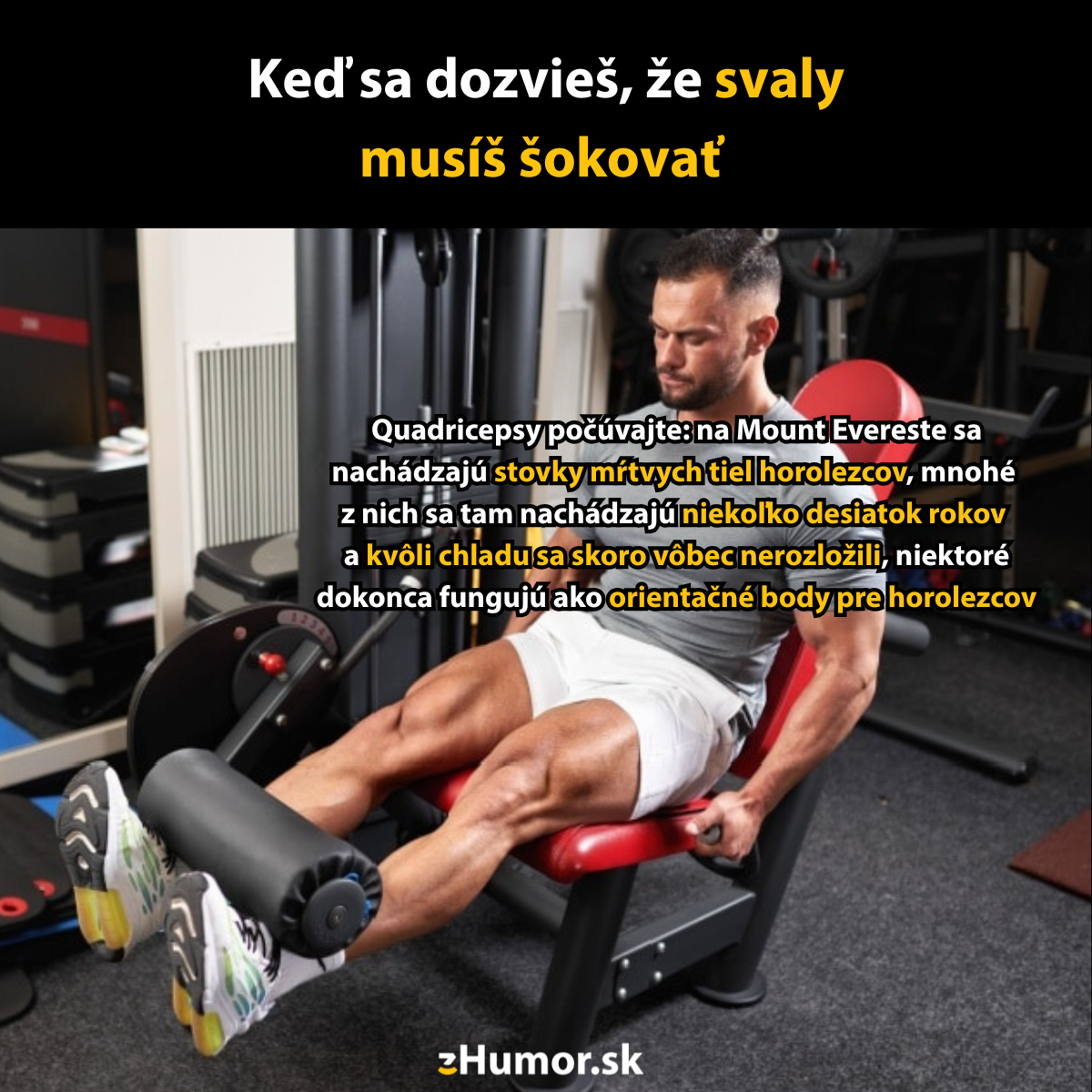 Muž cvičí na strojoch v posilňovni s vytrvalým sústredením a odhodlaním šokovať svoje svaly na maximalizáciu výsledkov.