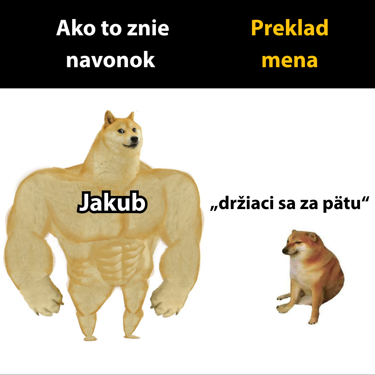 Silný pes s označením Jakub vedľa malého psa s nápisom držiaci sa za pätu; kontrast prekladu a významu mena.