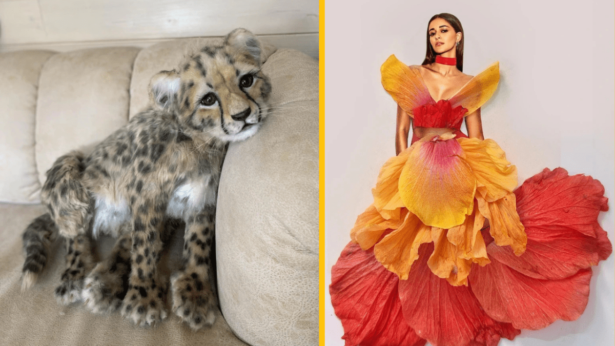Mládě geparda na pohovce vedľa ženy v kvetinových šatách.