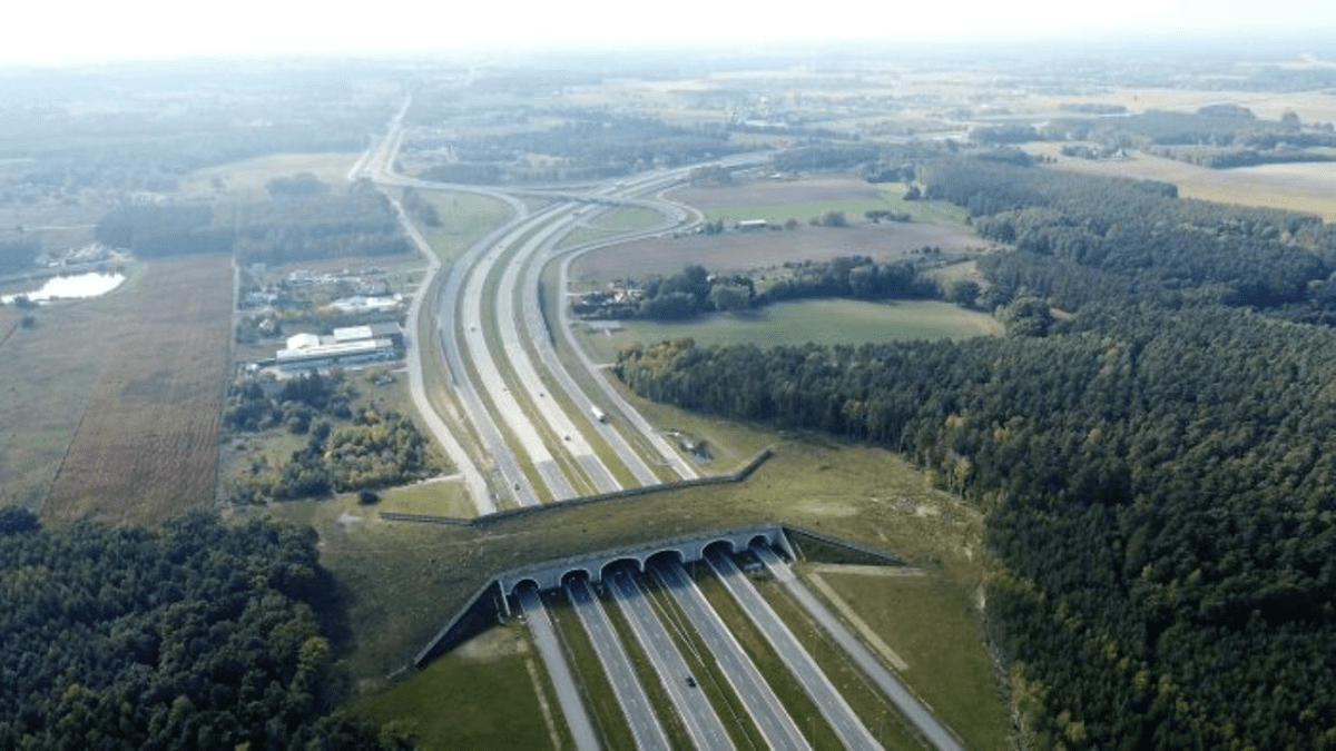 Letecký pohľad na diaľnicu s ekologickým mostom pre divokú zver obklopený prírodou a zeleňou.