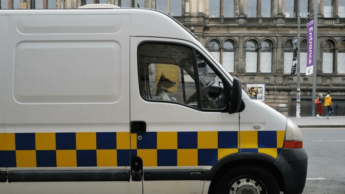 Pes sedí na sedadle šoféra v bielej dodávke s modrými a žltými štvorcovými pruhmi na ulici pred historickou budovou.