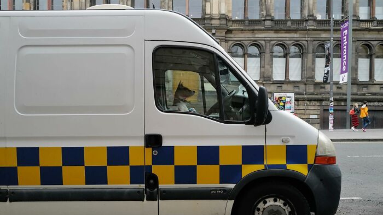 Pes sedí na sedadle šoféra v bielej dodávke s modrými a žltými štvorcovými pruhmi na ulici pred historickou budovou.