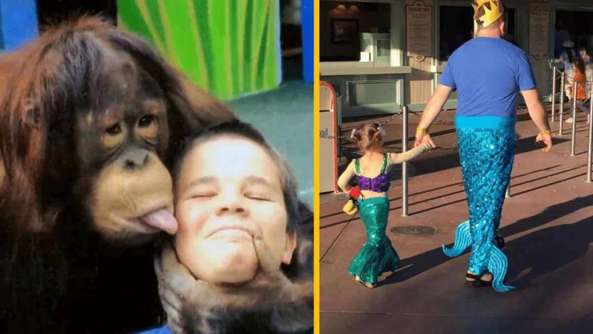 Opička olizuje chlapca, muž a dievča v kostýmoch morských panien kráčajú za ruku v zábavnom parku.