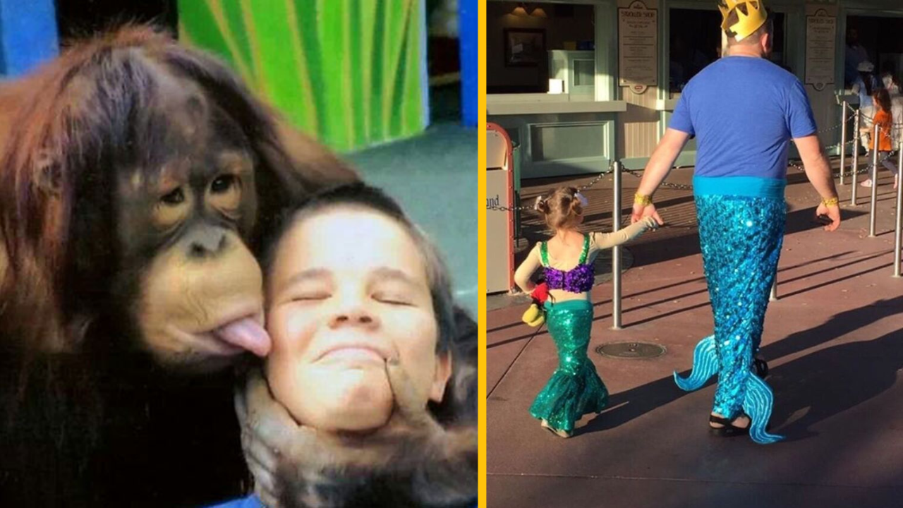 Opička olizuje chlapca, muž a dievča v kostýmoch morských panien kráčajú za ruku v zábavnom parku.