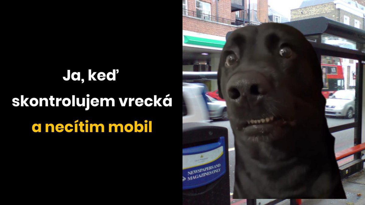 Pes s vystrašeným výrazom na zastávke autobusov, text: Ja, keď skontrolujem vrecká a necítim mobil.