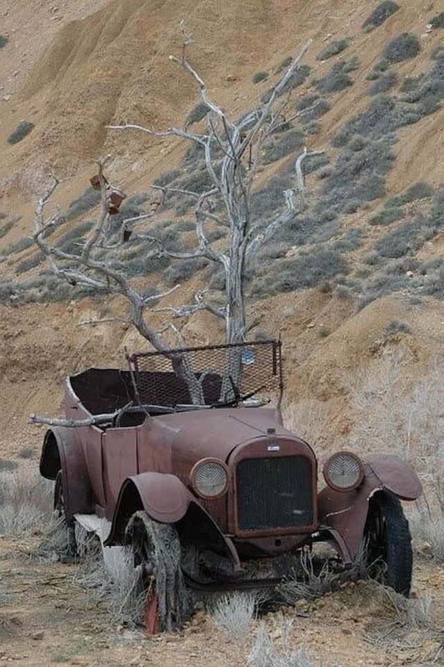 Staré hrdzavé auto s vyrasteným stromom, opustené v púštnej krajine, symbol plynutia času a prírody.