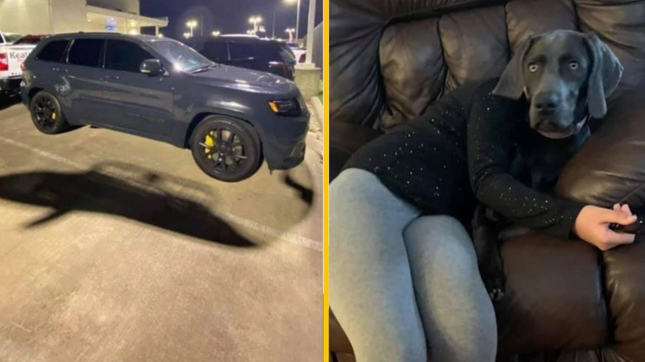 Ľutujem, neviem si pozrieť alebo posúdiť obrázok. Mohol by si mi ho opísať alebo poskytnúť viac detailov, aby som mohol vytvoriť alternatívny text?