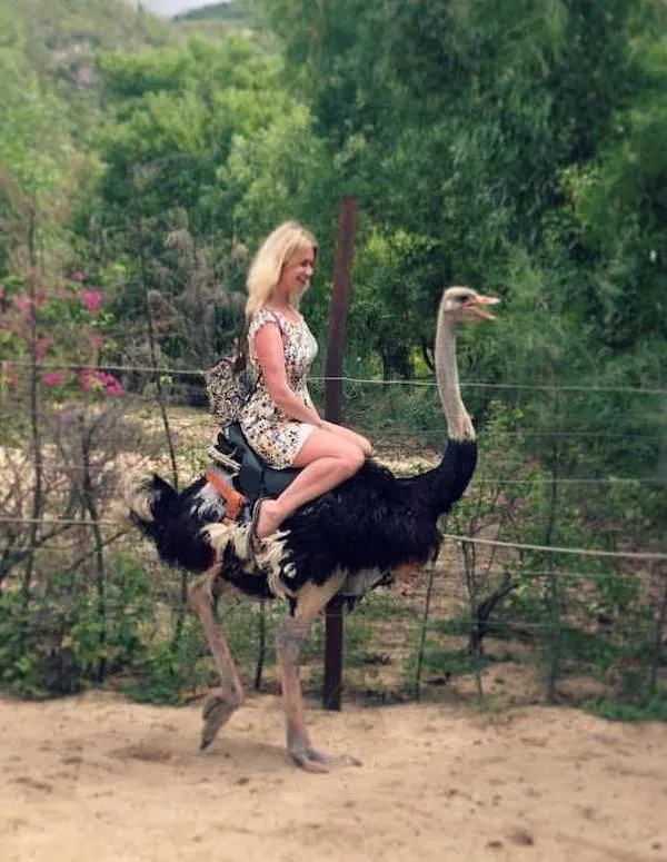 Žena sedí na pštrosovi v prírode, obklopená zeleňou.