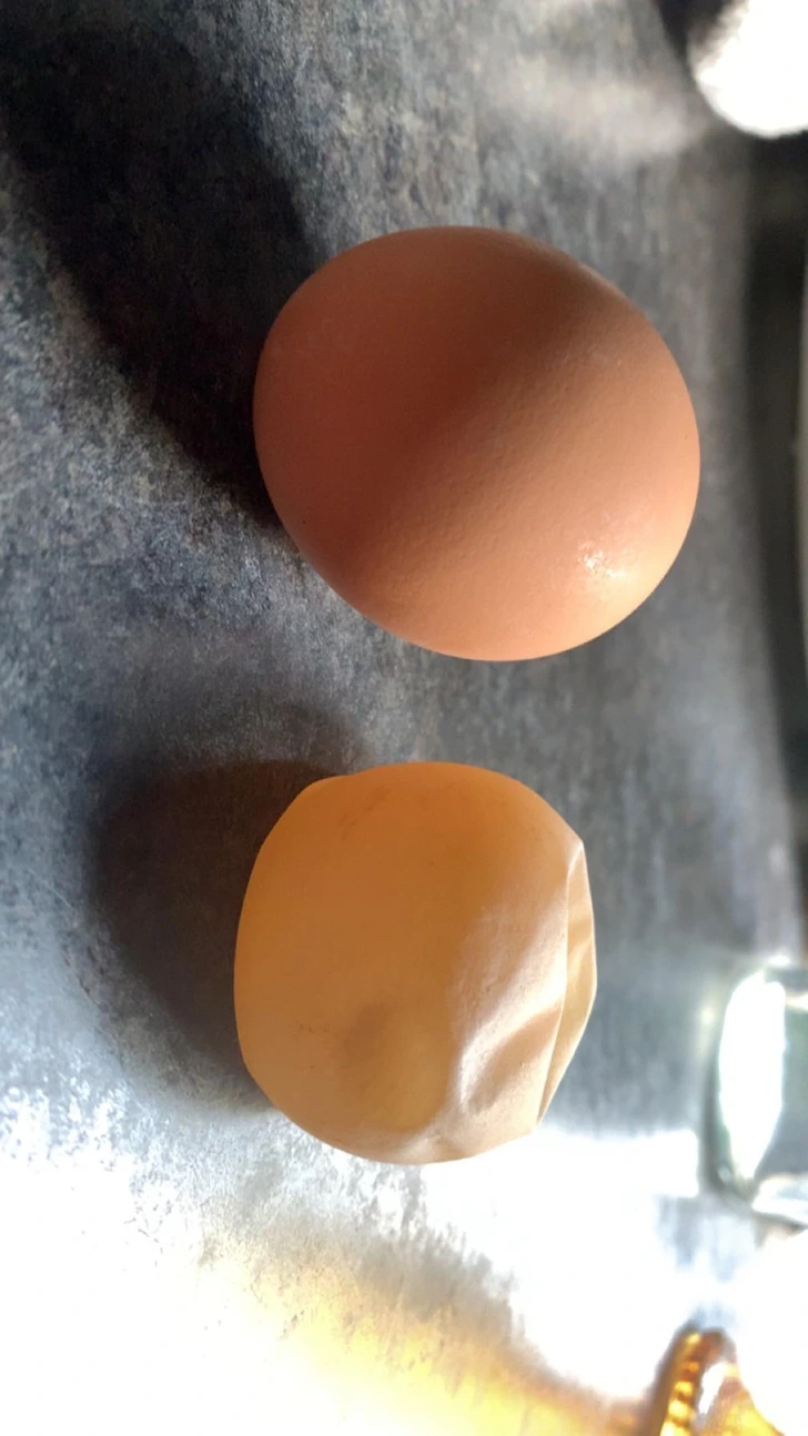 Hnedé vajce vedľa zmäknutého vajca bez škrupiny na stole.