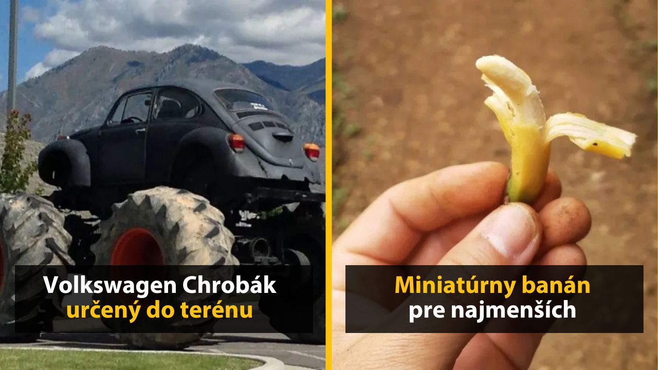 Obrnený Volkswagen Chrobák na obrovských kolesách a drobný banán v ruke na lesnej ceste.