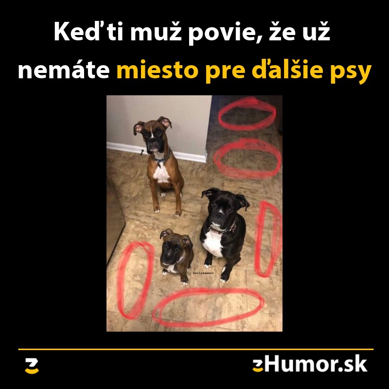 Traja psi na podlahe s vyznačenými miestami na ďalšie psy, humorný kontext o nedostatku miesta.