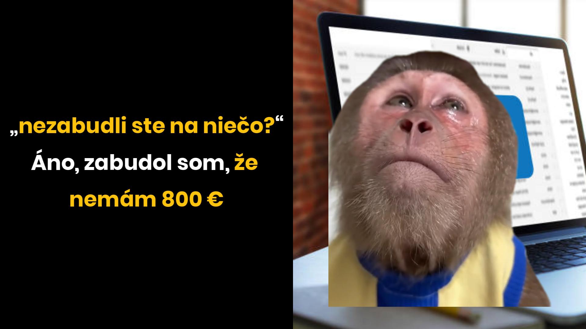 Opica pred obrazovkou s textom: Nezabudli ste na niečo? Áno, zabudol som, že nemám 800 €.