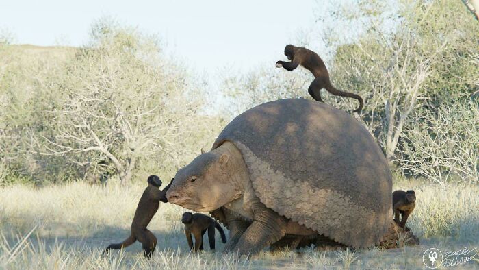 Obrovský prehistorický tvor podobný korytnačke s opicami na chrbte v prírodnom prostredí.