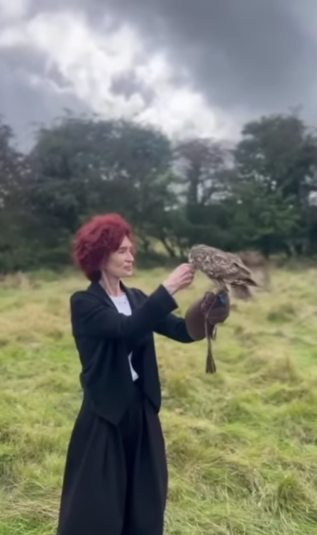 Osoba s rukavicou drží sovu na ruke na zelenej lúke s oblačnou oblohou v pozadí.