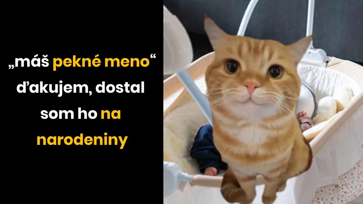 Mačka pri kolíske s vtipným textom: Má pekné meno, dostal som ho na narodeniny.