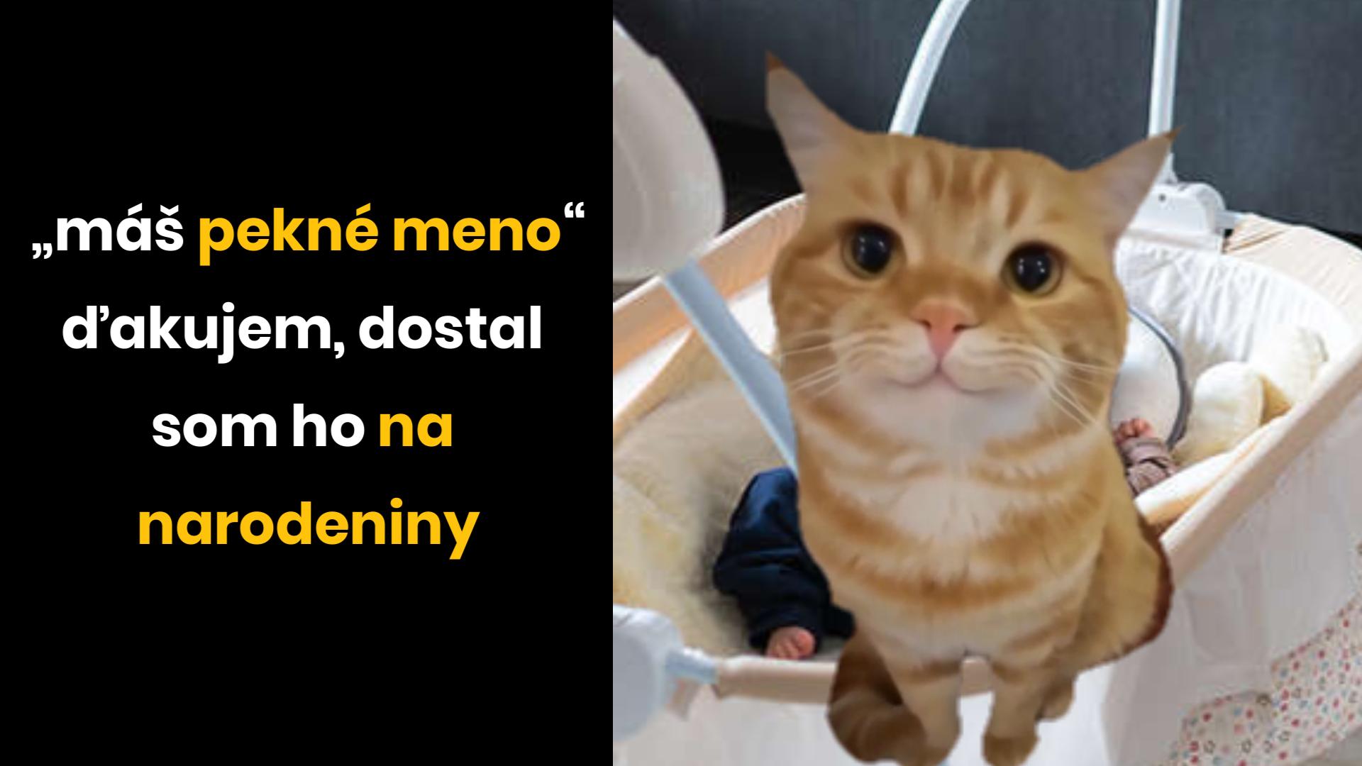 Mačka pri kolíske s vtipným textom: Má pekné meno, dostal som ho na narodeniny.