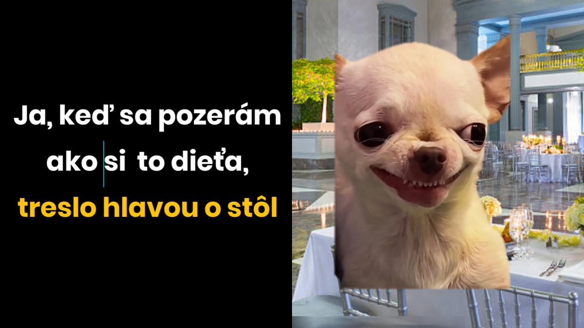 Pes s vtipným výrazom v elegantnej miestnosti, citát o dieťati, ktoré udrelo hlavou do stola.