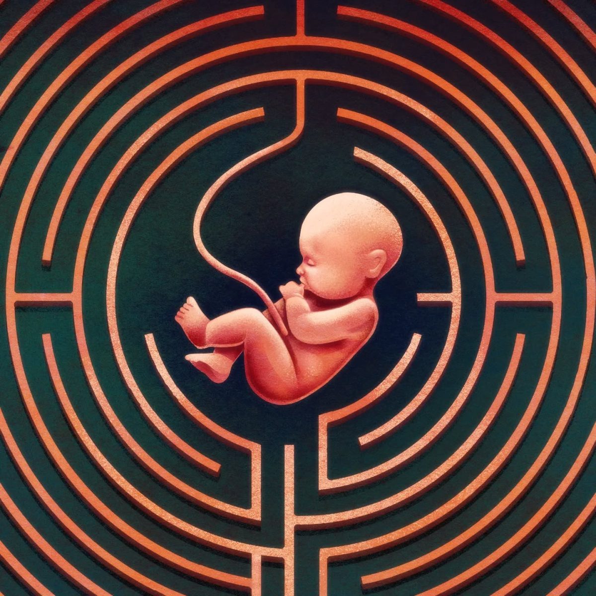 Nenarozené dieťa v labyrinte, symbolický obraz pre cestu života a vývoja.