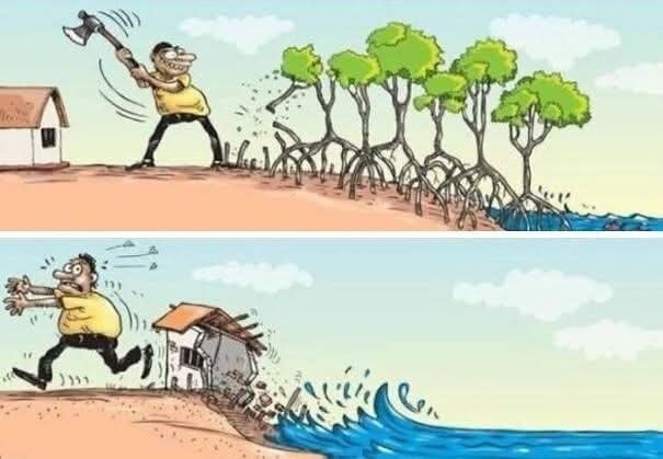 Muž rúca stromy pri pobreží a jeho dom je následne spláchne vlnami. Zobrazuje dôsledky ničeniam prírody.