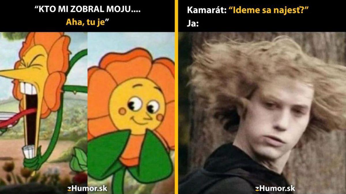 Kvetina s vtipným výrazom a animovaná postava reagujúca na otázku ideme sa najesť. Mem s humornou pointou.