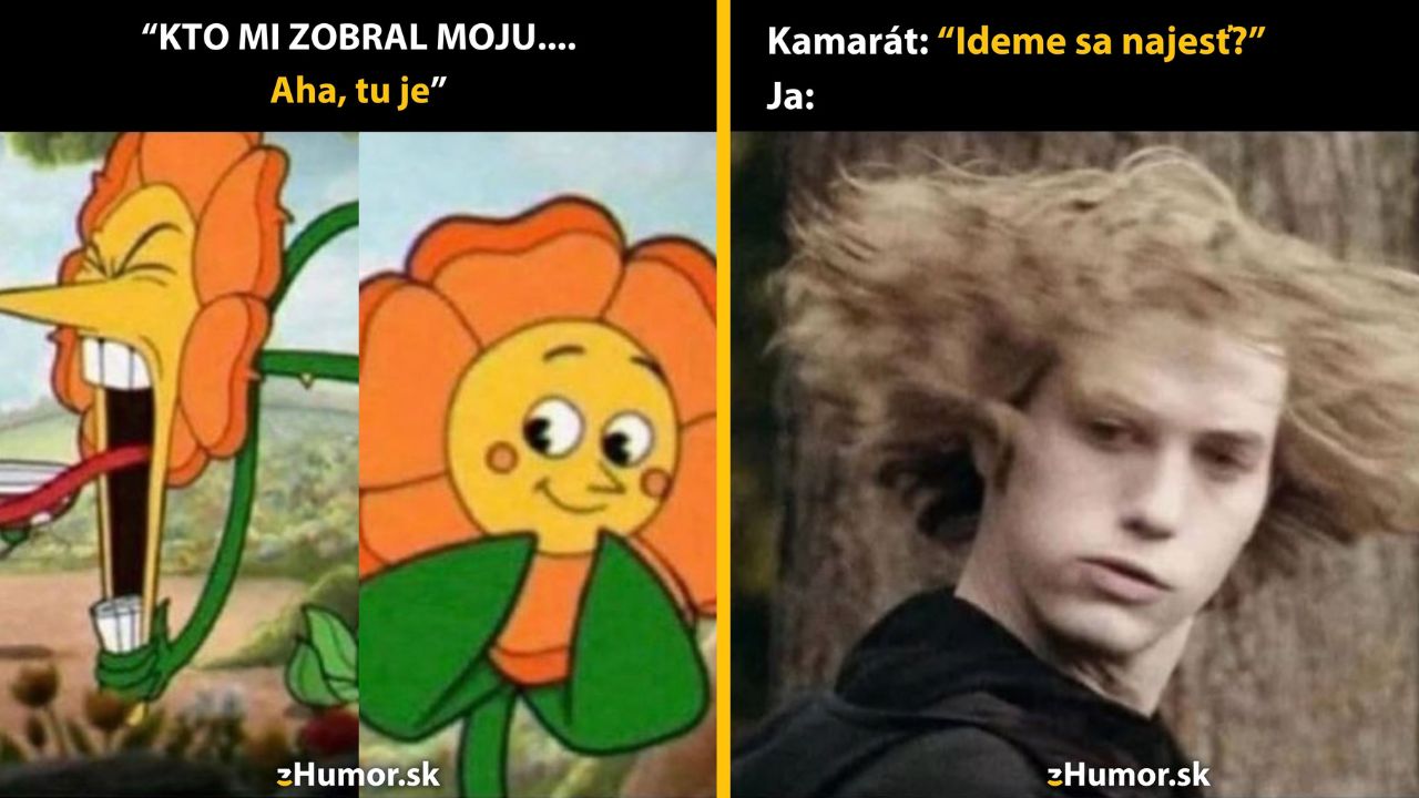 Kvetina s vtipným výrazom a animovaná postava reagujúca na otázku ideme sa najesť. Mem s humornou pointou.