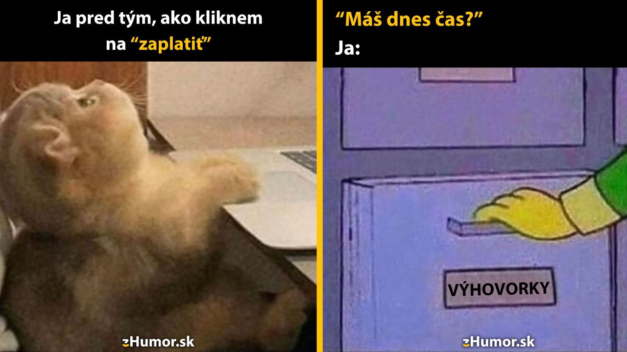 Mačka váha pred kliknutím na zaplatenie. Šuflík s názvom výhovorky sa otvorí na otázku o voľnom čase.