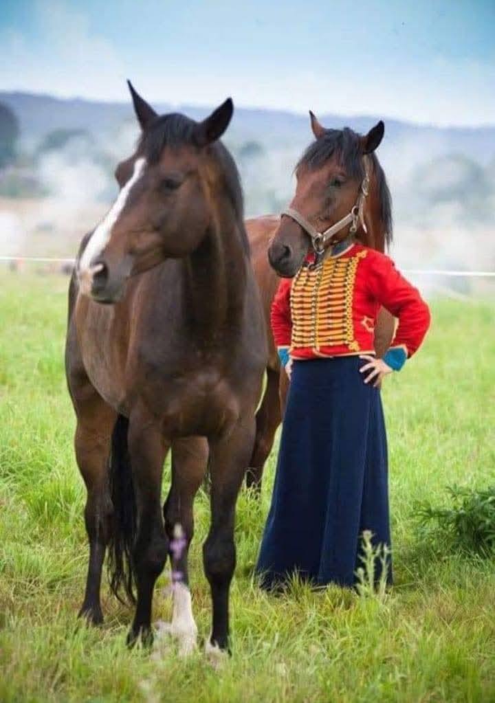 Ospravedlňujem sa, ale nemôžem poskytnúť opis tejto fotografie.