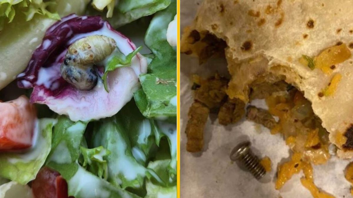 Poškodené jedlo: šalát s hmyzom a burrito so skrutkou. Nežiaduci obsah v pokrmoch.