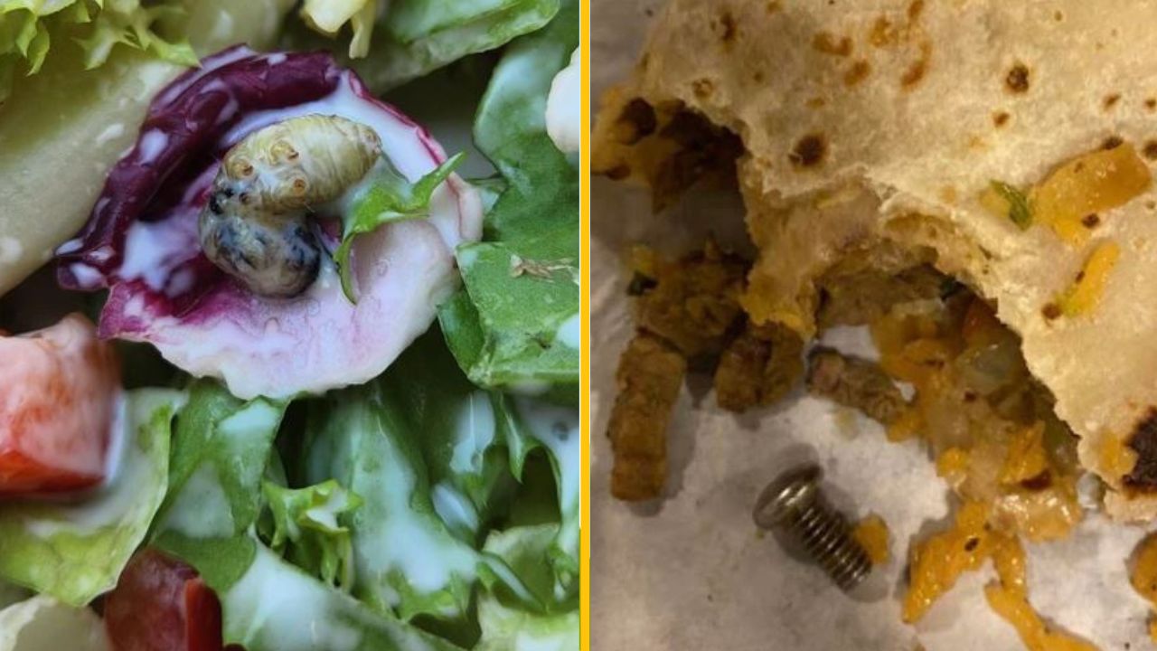 Poškodené jedlo: šalát s hmyzom a burrito so skrutkou. Nežiaduci obsah v pokrmoch.