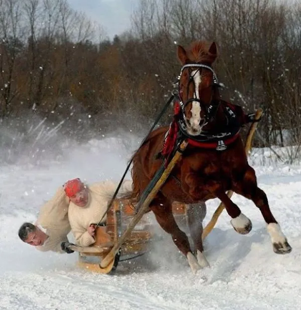 Kôň v plnom behu ťahajúci sane po zasneženom poli, dvaja muži sa snažia udržať rovnováhu.