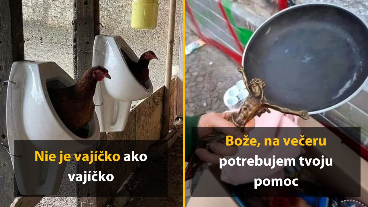 Sliepky vo zvláštnych hniezdach a panvica s netradičnou rukoväťou, humorné zobrazenie každodenných situácií.