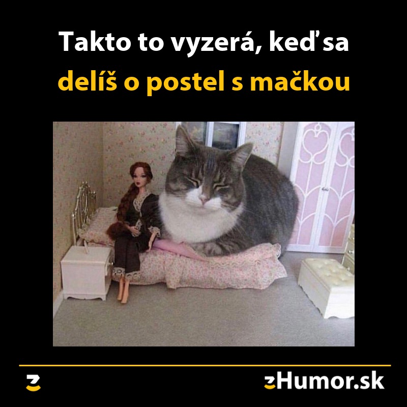 Žena sedí na malej bábikovej posteli vedľa obrovskej mačky v miniatúrnej izbe.