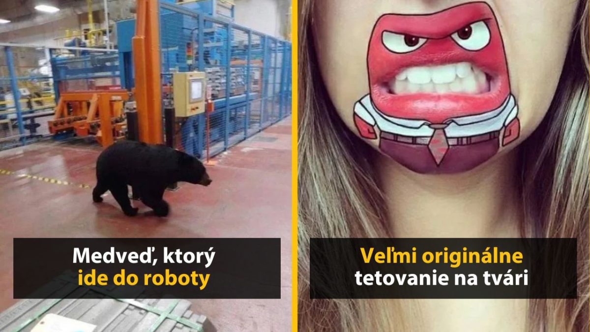 Medveď v továrni a kreatívne líčenie tváre s komiksovou postavou.