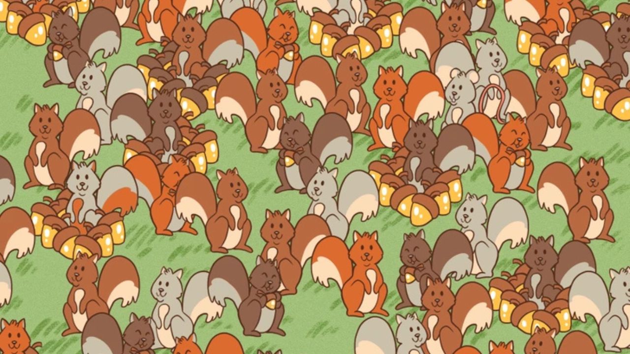 Ilustrácia veveričiek medzi množstvom žalude na zelenej lúke, farebné veveričky s ružovým detailom.