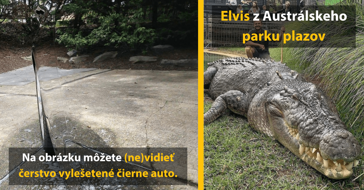 Na obrázku je vidieť odraz krajiny v lesklom povrchu auta a veľký krokodíl v austrálskom parku.