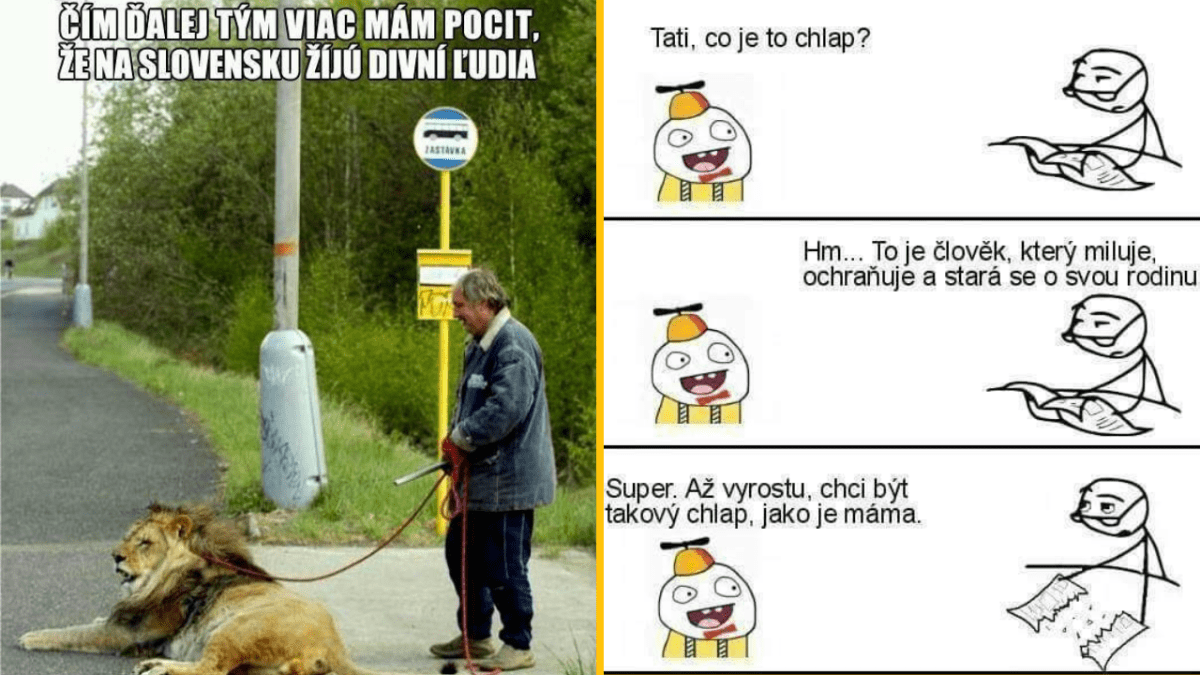 Muž venčí leva na dedinskej zastávke a kreslený strip s rozhovorom o tom, čo znamená byť chlapom.