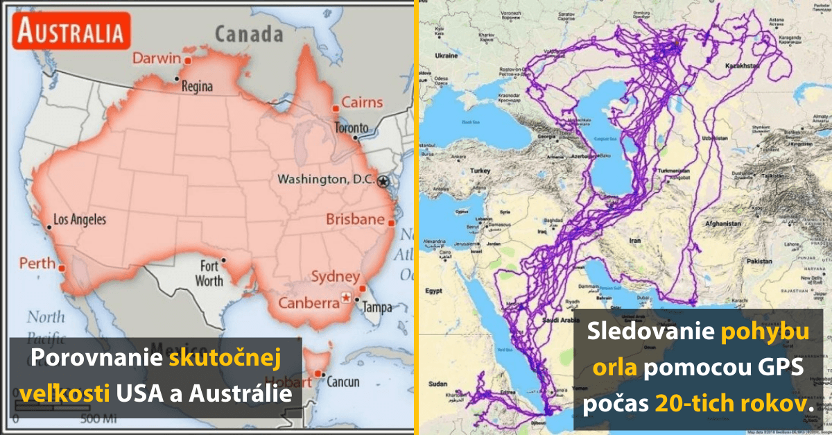 Porovnanie veľkosti USA a Austrálie; sledovanie pohybu orla pomocou GPS počas 20 rokov.