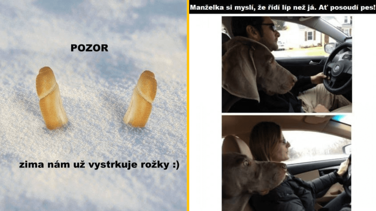Na snehu vystrčené dva rožky, vtipný text: Pozor, zima nám už vystrkuje rožky. Vedľa pes posudzuje vodičské schopnosti.
