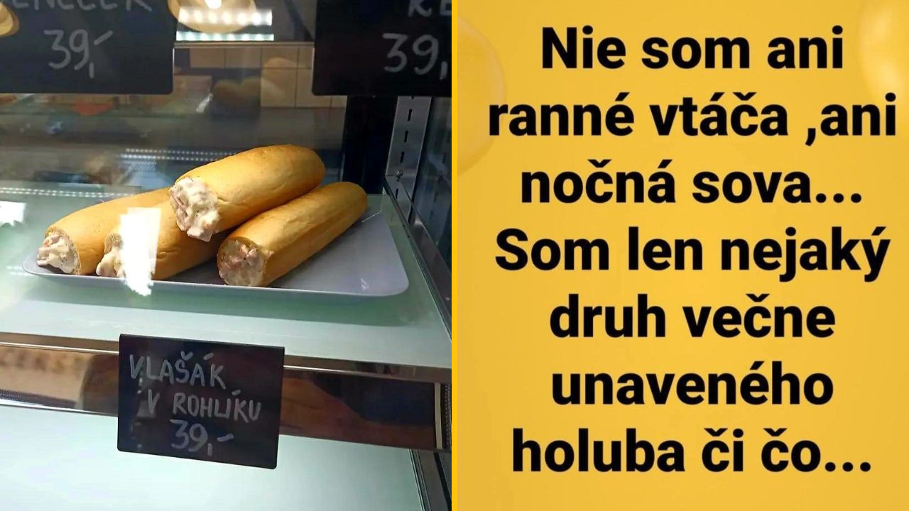 Vlašský šalát v rožku za 39 Kč, vedľa nápisu Nie som ani ranné vtáča, ani nočná sova, som len unavený holub.