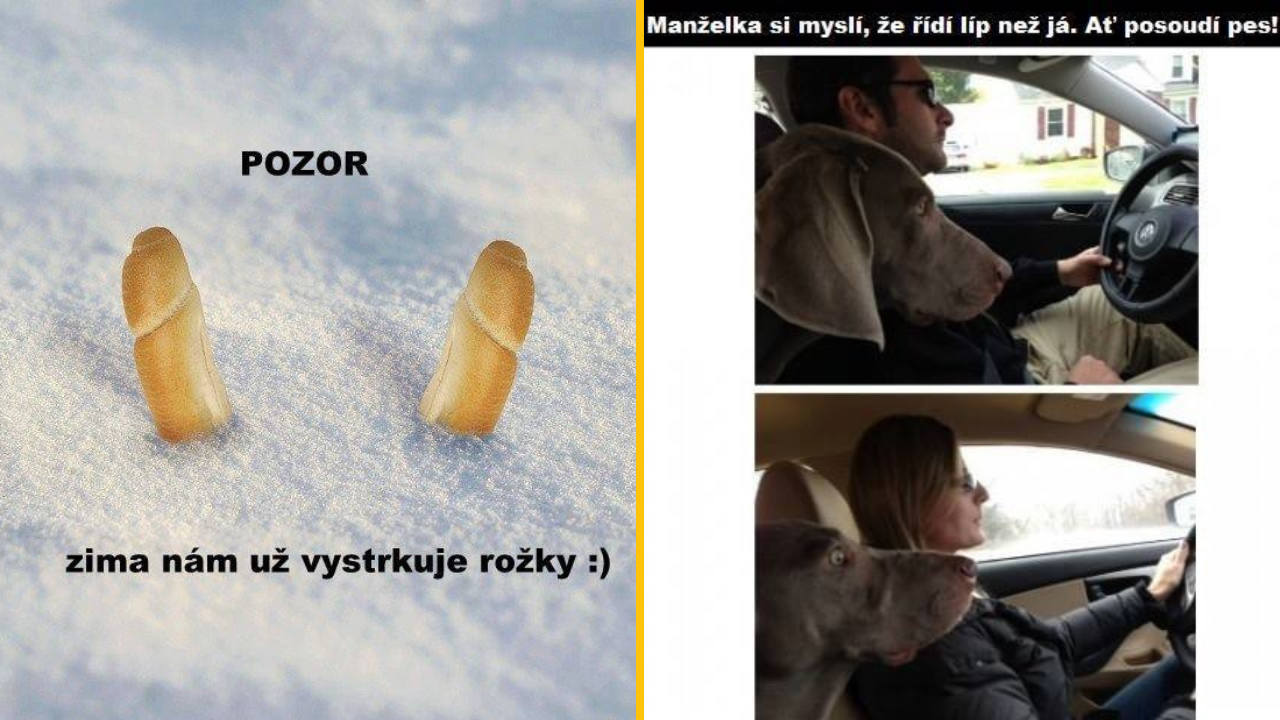 Na snehu vystrčené dva rožky, vtipný text: Pozor, zima nám už vystrkuje rožky. Vedľa pes posudzuje vodičské schopnosti.