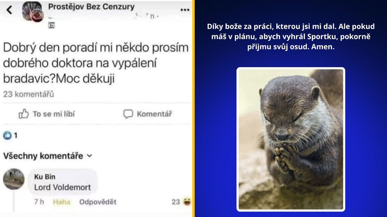 Vtipné komentáre na internete: Hľadanie doktora na bradavice a modliaca sa vydra s prosbou o výhru v lotérii.