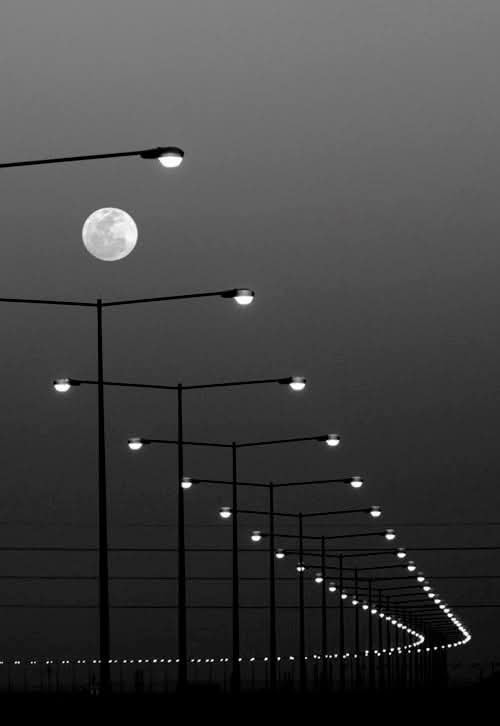 Riad uličných lámp s mesiacom na nočnej oblohe, vytvárajúci tajomnú a pokojne pôsobiacu scenériu.