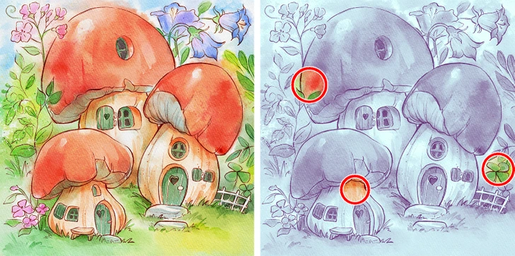 Tri domčeky s houbovými strechami obklopené kvetmi a trávou na farebnej kresbe. Na pravej strane sú zvýraznené rozdiely.