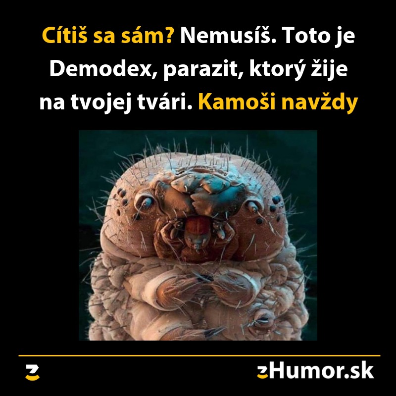 Parazit Demodex na tvári vtipne znázornený ako nečakaný „priateľ“ v makro pohľade.